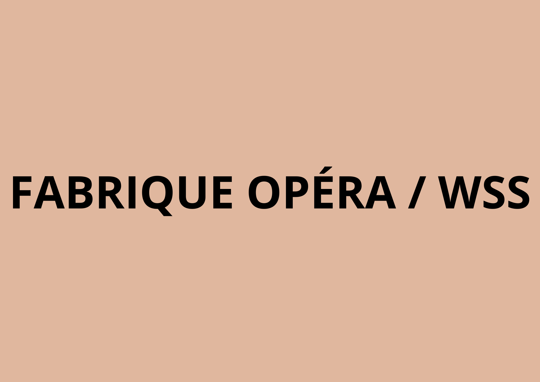 Fabrique Opéra/West Side Story