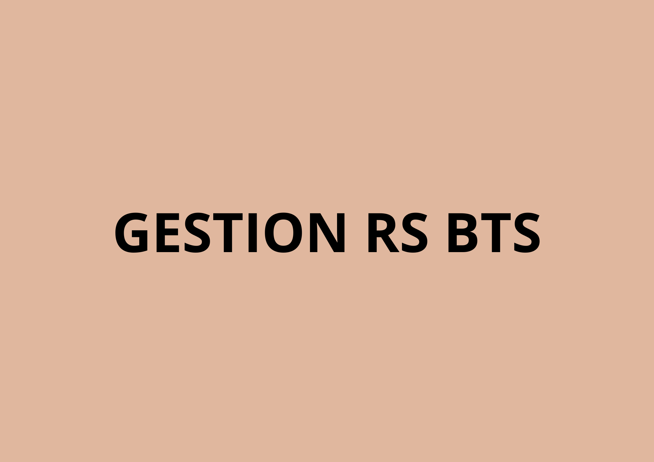 Gestion RS BTS